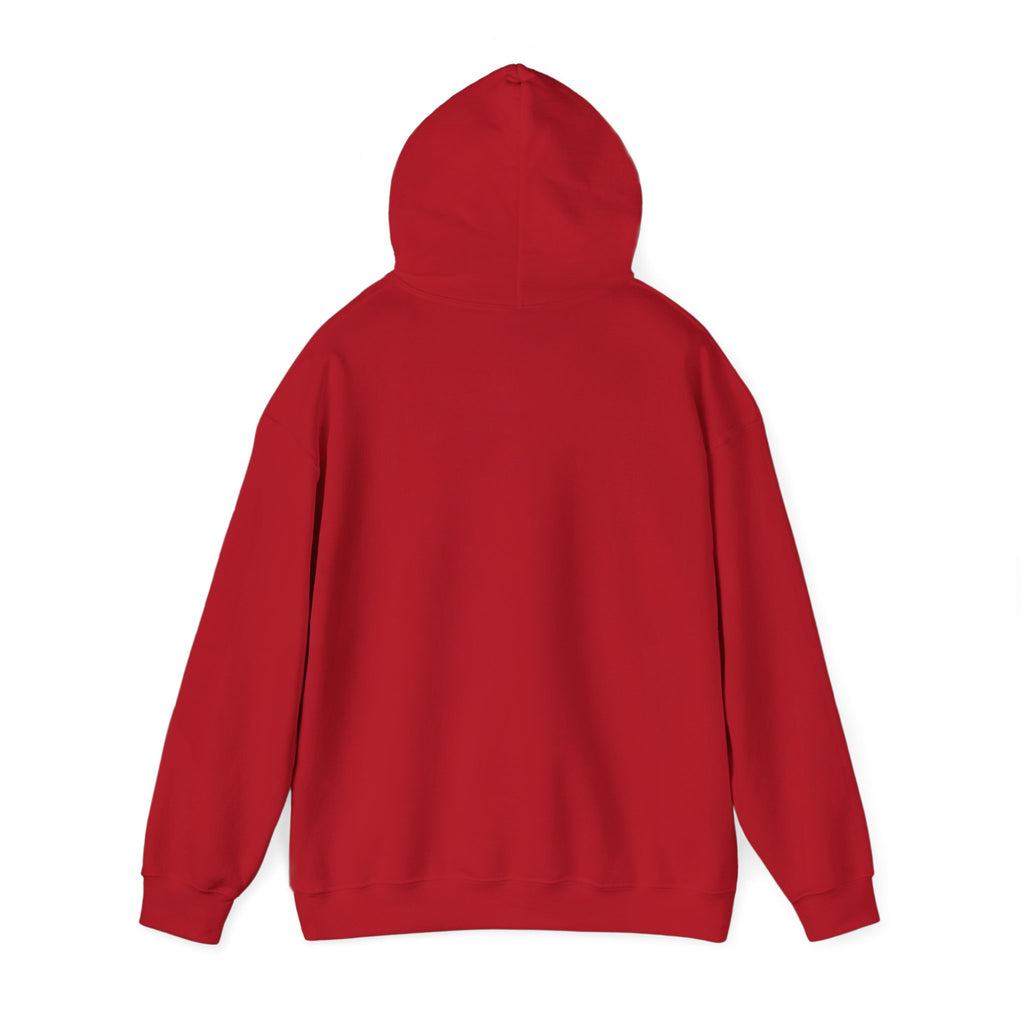 "JDM Stance" Heavyweight Hoodie