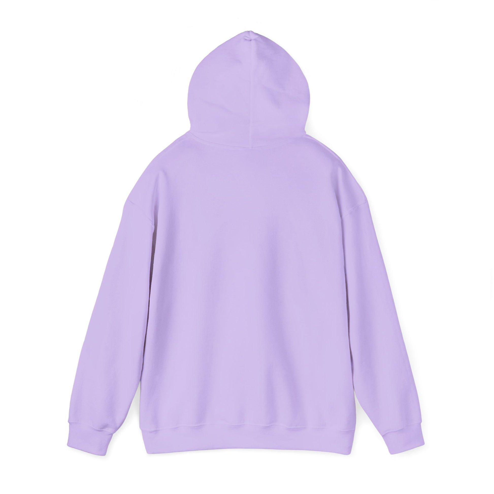 "JDM Stance" Heavyweight Hoodie