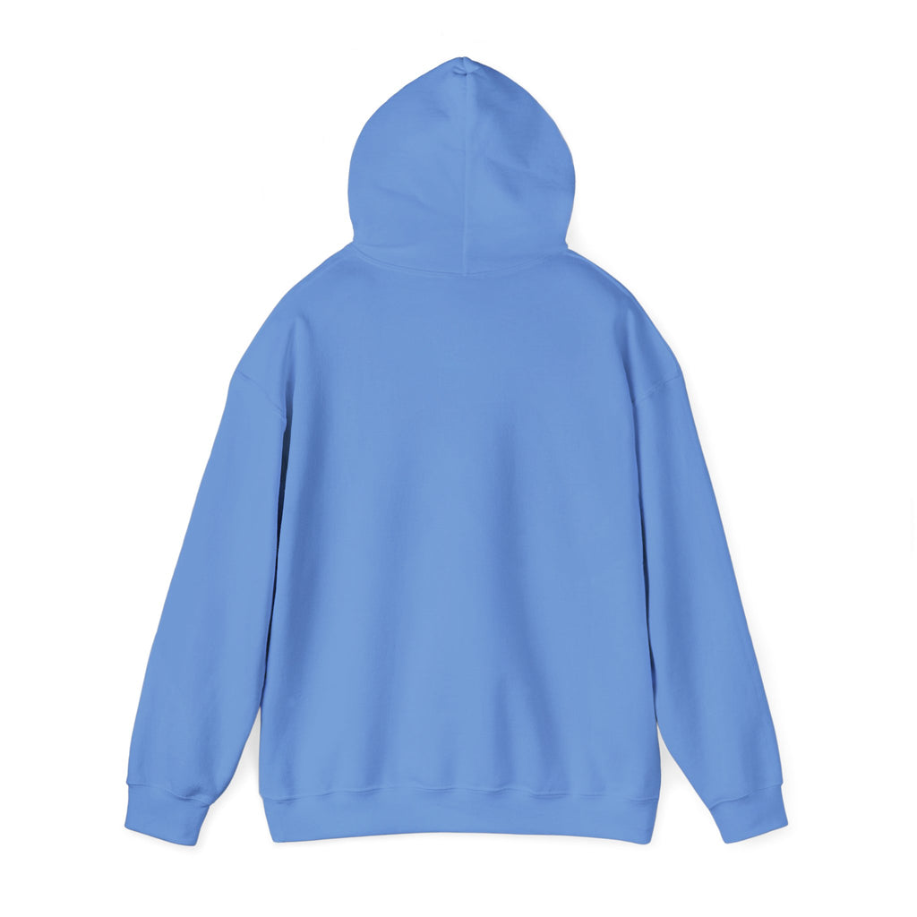 "JDM Stance" Heavyweight Hoodie