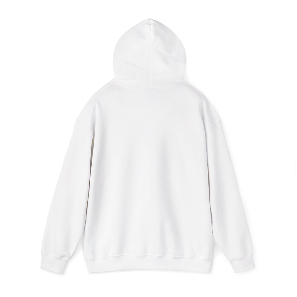 "JDM Stance" Heavyweight Hoodie