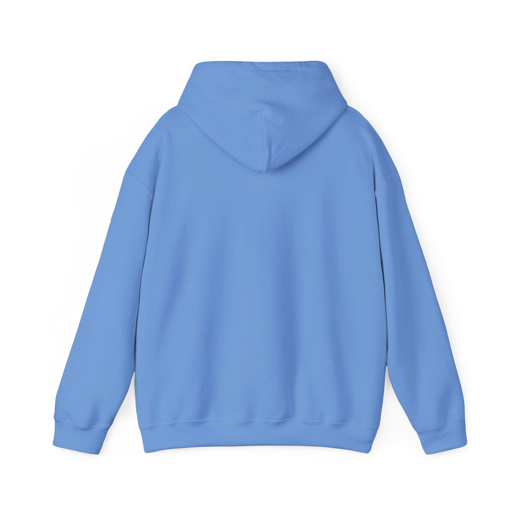 "JDM Stance" Heavyweight Hoodie