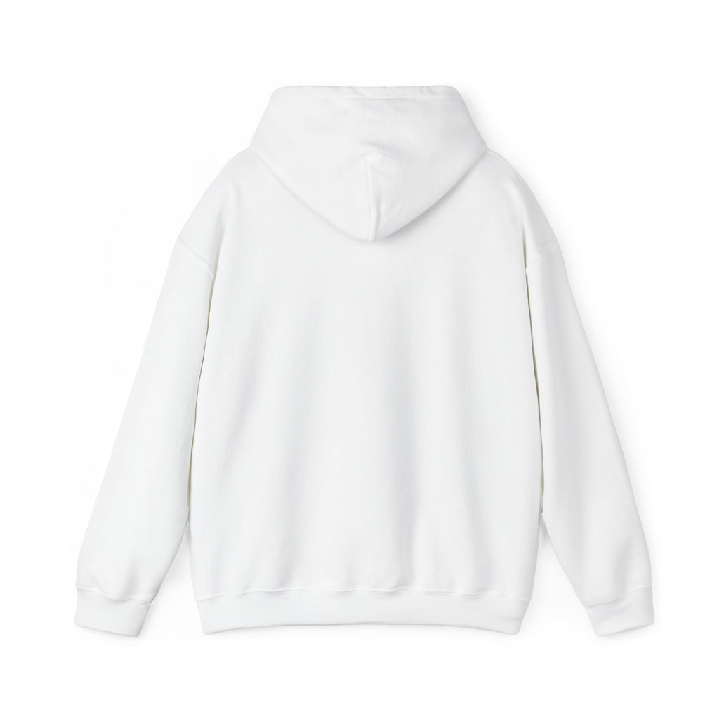 "JDM Stance" Heavyweight Hoodie