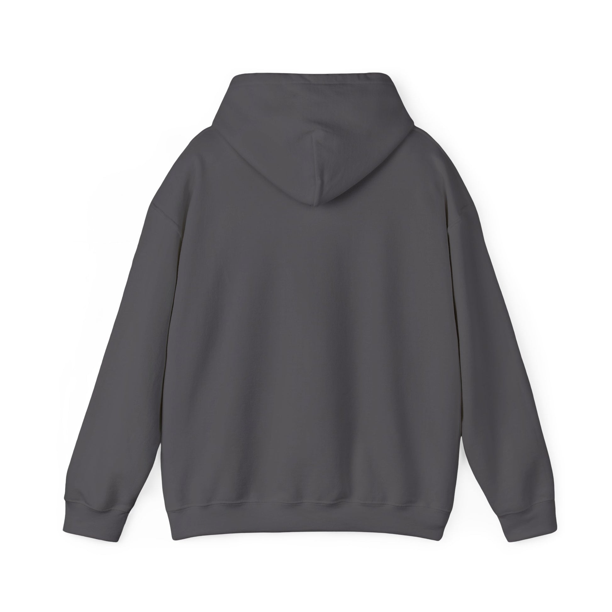"JDM Stance" Heavyweight Hoodie